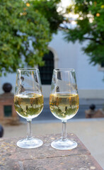 Sherry wine glasses and old bogedas jerez wine cellars on background in Jerez de la Frontera, wine glasses outdoor, cityview, Andalusia, Spain