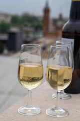 Sherry fino wine tasting on roof of old Triana district in Sevilla with view on Sevilla houses and churches, wine glasses and bottle
