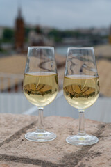 Sherry fino wine tasting on roof of old Triana district in Sevilla with view on Sevilla houses and churches, wine glasses