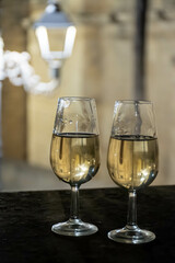 Sherry wine glasses with fino and old church on background at night in Jerez de la Frontera, wine glasses outdoor, cityview, Andalusia, Spain