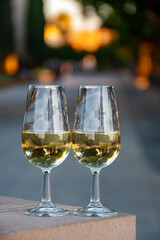 Sherry wine glasses with fino and old bogedas jerez wine cellars on background in Jerez de la Frontera, wine glasses outdoor, cityview, Andalusia, Spain