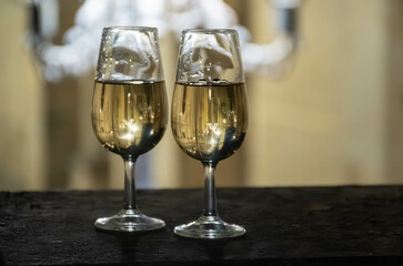 Sherry wine glasses with fino and old church on background at night in Jerez de la Frontera, wine glasses outdoor, cityview, Andalusia, Spain