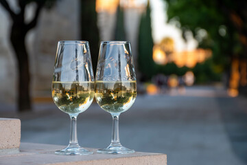 Sherry wine glasses with fino and old bogedas jerez wine cellars on background in Jerez de la Frontera, wine glasses outdoor, cityview, Andalusia, Spain