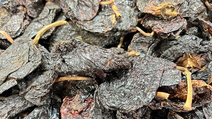 close up to guajillo chilli