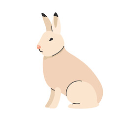 Arctic hare icon clipart avatar logotype isolated illustration