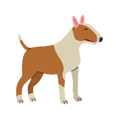 Bull terrier icon clipart avatar logotype isolated illustration