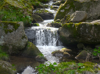 a mountain stream with a small waterfall flows through a rocky valley in the forest