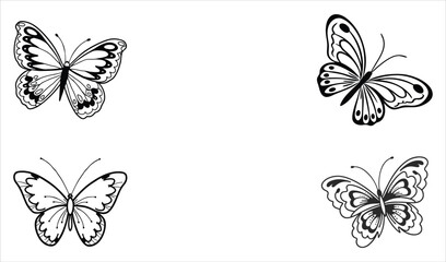 Set of butterfly