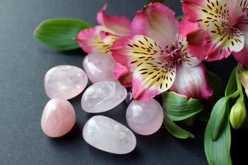 Rose quartz crystals and alstroemeria flowers on a gray background.