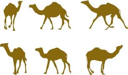 Vector sketch illustration silhouette design drawing of desert animal camel with hump for ride vehicle