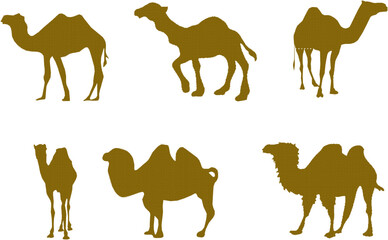 Vector sketch illustration silhouette design drawing of desert animal camel with hump