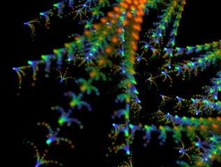 Imaginatory fractal abstract background Image