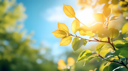 Obraz premium Sunlit Spring Leaves Background Image
