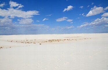 White Sands National Monument U.S located in the state of New Mexico the field of white sand dunes composed of gypsum crystals. The gypsum dune field is the largest of its kind on Earth.
