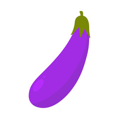 Eggplant illustration isolated on white background. fresh vegetable flat illustration