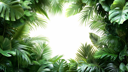 Lush Tropical Leaf Border Background Illustration