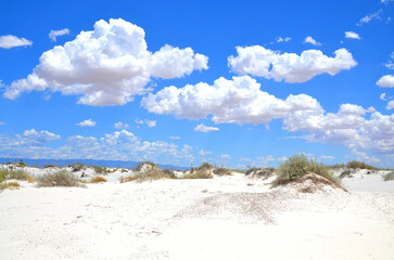 White Sands National Monument U.S located in the state of New Mexico the field of white sand dunes...