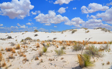 White Sands National Monument U.S located in the state of New Mexico the field of white sand dunes composed of gypsum crystals. The gypsum dune field is the largest of its kind on Earth.