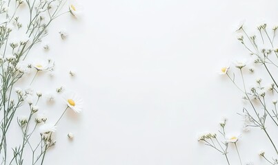White daisies and wildflowers arranged on a white background, creating a frame with copy space.