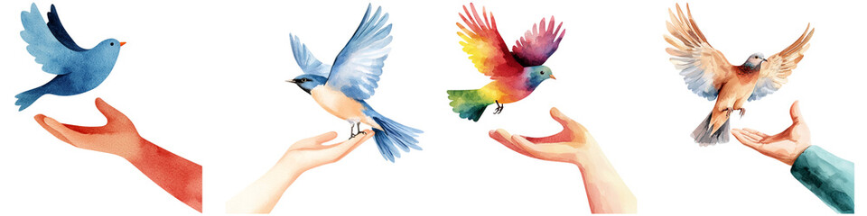 Obraz premium freedom harmony watercolor concept, A series of illustrated hands releasing colorful birds, symbolizing freedom and nature's beauty.