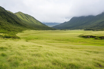 Fototapeta premium A vast, lush green valley surrounded by rolling, forested hills under a cloudy sky