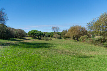 Wide angle view of Porto city park, Portugal, on a bright sunny day in fall with blue sky.
