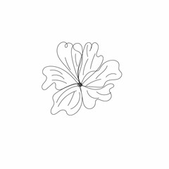 background with flowers