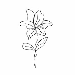 hand drawn flower