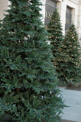 christmas tree in the park