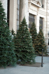 decorated christmas tree