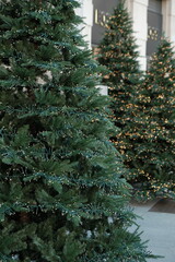 christmas tree in the city