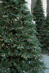 christmas tree with christmas decorations