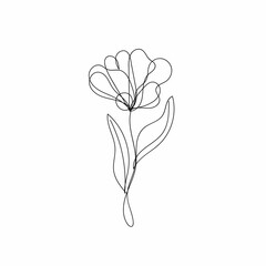 Rose flower line drawing vector