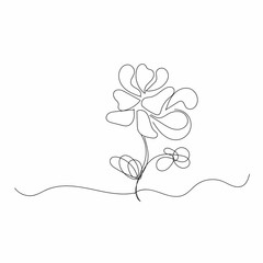 Rose flower line drawing vector