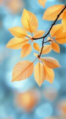Naklejka premium Bright Autumn Leaves against a Soft Blue Background