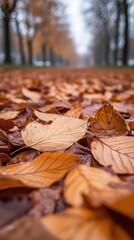 Autumn Serenity: A Close-Up of Fallen Leaves on a Misty Pathway