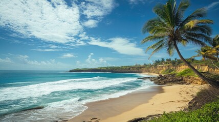 Tropical beach with blue sky, waves, and palm tree