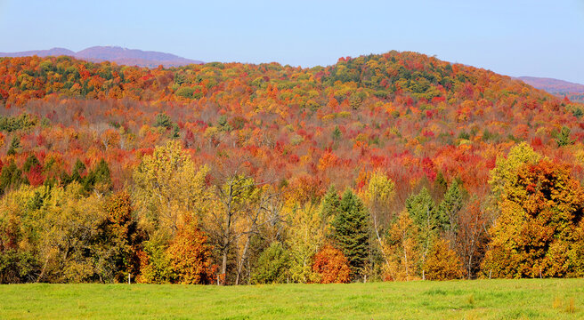 North america fall  folliage eastern township Quebec province Canada