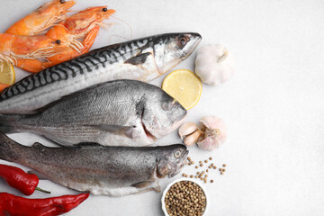 Different fresh sea food with spices on light grey table, flat lay. Space for text