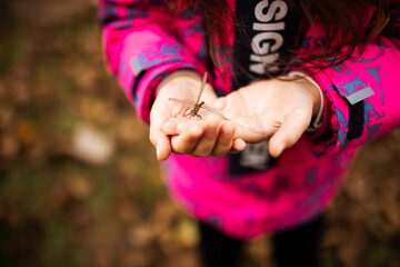 A girl holds a dragonfly in her hand in a pink coat