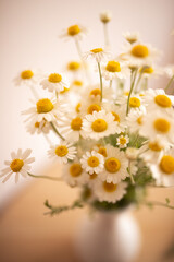 Bouquet of daisy flowers in a white vase placed on the table with sunlight streaming in