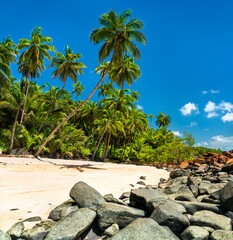 Tropical Beach on Saint Joseph Island, Part of the Salvation Islands in French Guiana, South America
