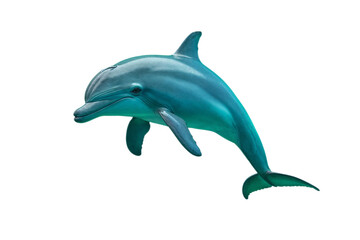 jumping dolphin, background. PNG transparent.