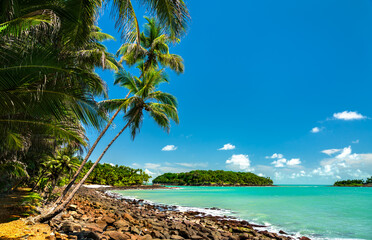 Tropical Beach on Saint Joseph Island, Part of the Salvation Islands in French Guiana, South America