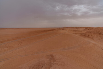 A rare sight in the desert as storm clouds approach