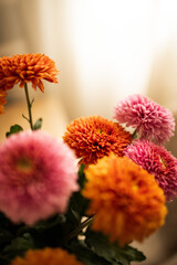 A bouquet of pink and orange chrysanthemums on the wooden table in the room full of warm sunlight