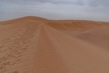 Dunes in the desert creating beautiful landscapes