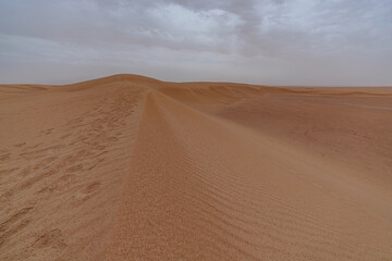 Dunes in the desert creating beautiful landscapes