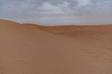 Dunes in the desert creating beautiful landscapes