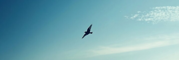 Fototapeta premium A solitary bird soaring against a clear blue sky, capturing a moment of freedom.